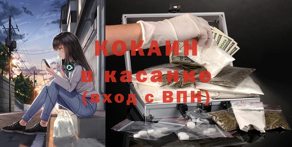 кокс Алексин