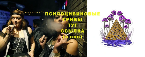 дурь Арсеньев