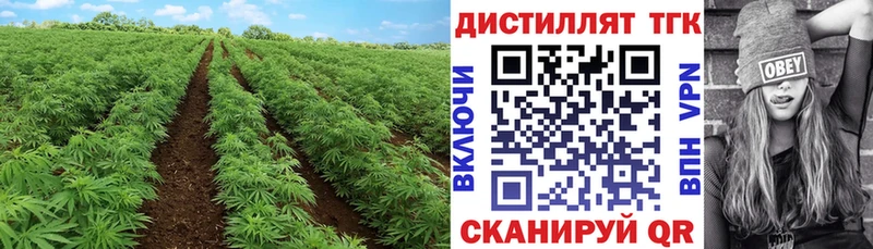 Дистиллят ТГК вейп  что такое   Палласовка 